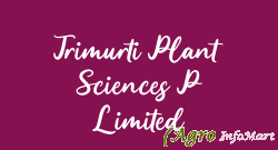 Trimurti Plant Sciences P Limited