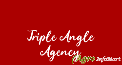 Triple Angle Agency