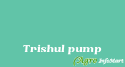 Trishul pump rajkot india