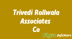 Trivedi Rollwala Associates & Co. ahmedabad india