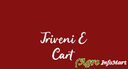 Triveni E Cart