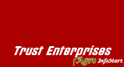 Trust Enterprises
