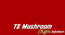 TS Mushroom