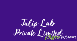 Tulip Lab Private Limited mumbai india