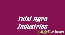 Tulsi Agro Industries ahmedabad india