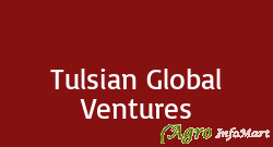 Tulsian Global Ventures