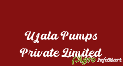 Ujala Pumps Private Limited delhi india
