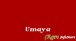 Umaya
