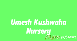 Umesh Kushwaha Nursery delhi india