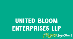 United Bloom Enterprises LLP