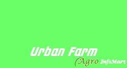 Urban Farm navi mumbai india