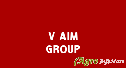V Aim Group bangalore india