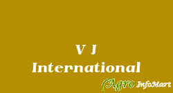 V J International delhi india