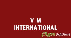 V M International