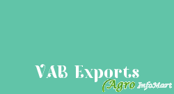 VAB Exports chennai india