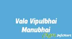Vala Vipulbhai Manubhai