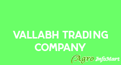 Vallabh Trading Company vadodara india