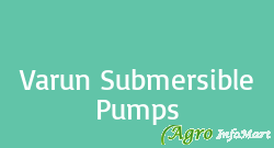 Varun Submersible Pumps bangalore india