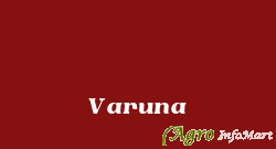 Varuna bangalore india
