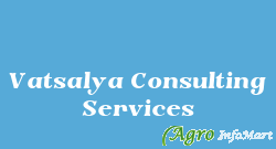 Vatsalya Consulting Services