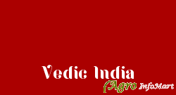 Vedic India meerut india