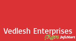 Vedlesh Enterprises delhi india