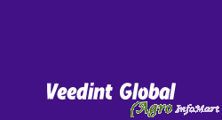 Veedint Global ahmedabad india