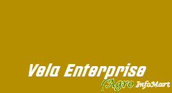Vela Enterprise