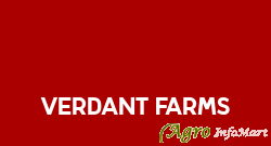 Verdant Farms chennai india