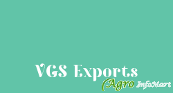 VGS Exports