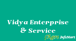 Vidya Enterprise & Service