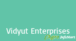 Vidyut Enterprises