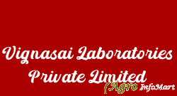 Vignasai Laboratories Private Limited hyderabad india
