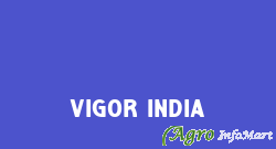 Vigor India
