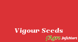 Vigour Seeds gandhinagar india