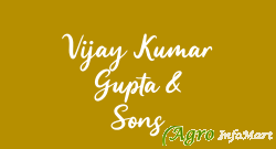 Vijay Kumar Gupta & Sons