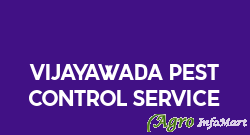 Vijayawada Pest Control Service