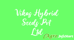 Vikas Hybrid Seeds Pvt Ltd