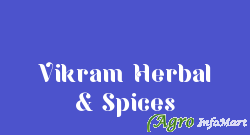 Vikram Herbal & Spices jaipur india