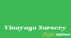 Vinayaga Nursery hosur india