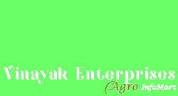 Vinayak Enterprises mainpuri india
