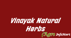 Vinayak Natural Herbs