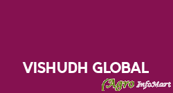 Vishudh Global delhi india