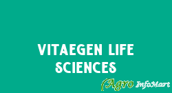 VitaeGen Life Sciences nagpur india