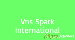 Vns Spark International chennai india