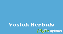 Vostok Herbals indore india