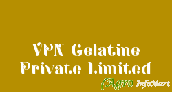 VPN Gelatine Private Limited