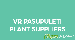 VR Pasupuleti Plant Suppliers