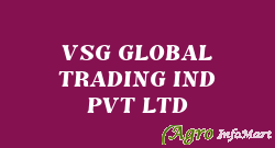 VSG GLOBAL TRADING IND PVT LTD
