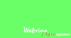 Waterino